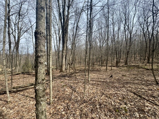 653 Frank Briggs Road Davenport, NY 13820 - Photo 30 of 47