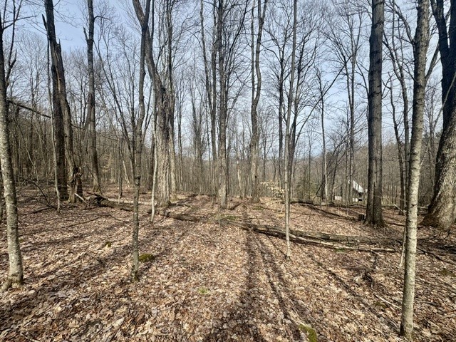 653 Frank Briggs Road Davenport, NY 13820 - Photo 31 of 47