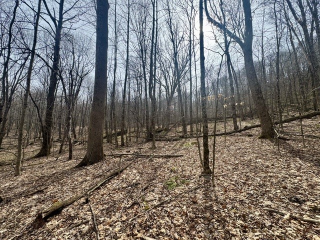 653 Frank Briggs Road Davenport, NY 13820 - Photo 32 of 47