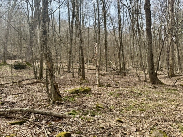 653 Frank Briggs Road Davenport, NY 13820 - Photo 33 of 47