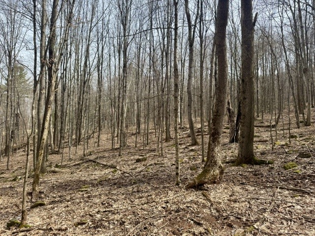 653 Frank Briggs Road Davenport, NY 13820 - Photo 34 of 47