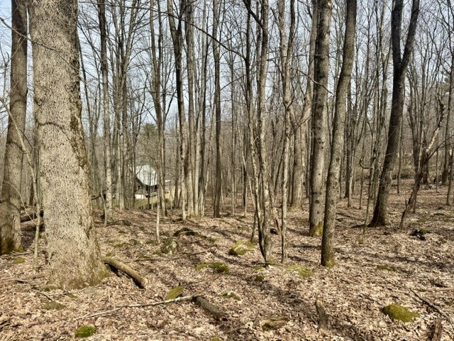 653 Frank Briggs Road Davenport, NY 13820 - Photo 35 of 47