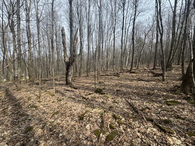 653 Frank Briggs Road Davenport, NY 13820 - Photo 36 of 47