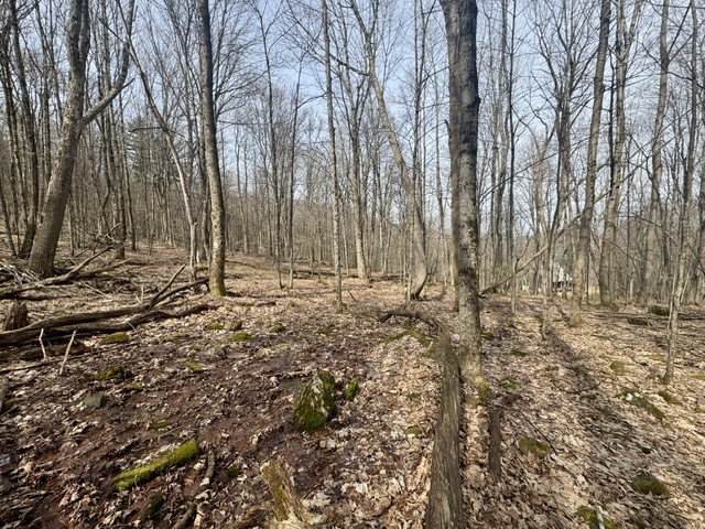 653 Frank Briggs Road Davenport, NY 13820 - Photo 37 of 47