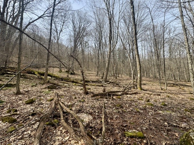 653 Frank Briggs Road Davenport, NY 13820 - Photo 38 of 47