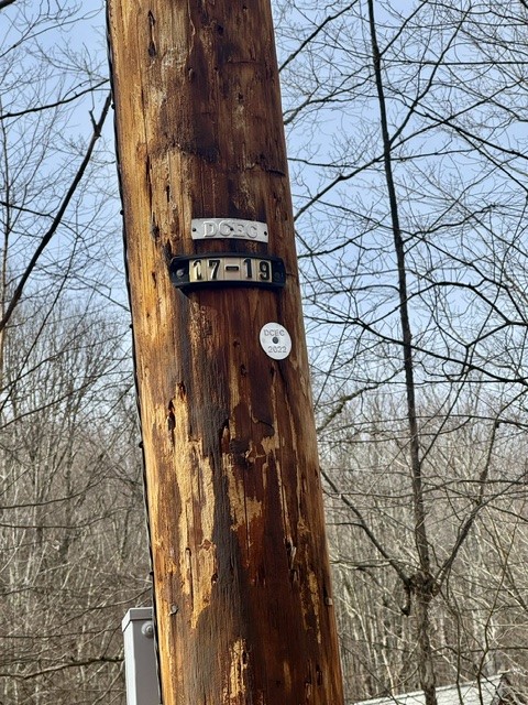 653 Frank Briggs Road Davenport, NY 13820 - Photo 40 of 47