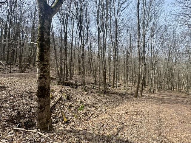 653 Frank Briggs Road Davenport, NY 13820 - Photo 41 of 47