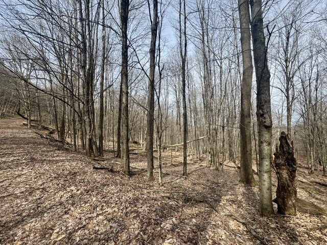 653 Frank Briggs Road Davenport, NY 13820 - Photo 42 of 47