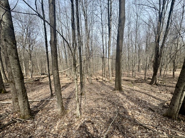 653 Frank Briggs Road Davenport, NY 13820 - Photo 43 of 47