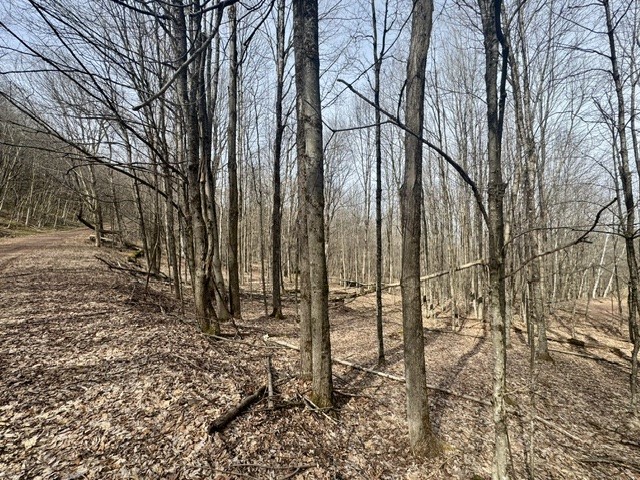 653 Frank Briggs Road Davenport, NY 13820 - Photo 44 of 47