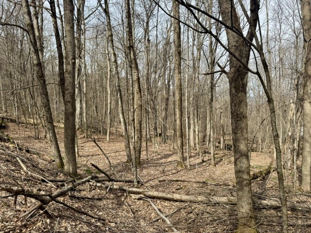 653 Frank Briggs Road Davenport, NY 13820 - Photo 45 of 47