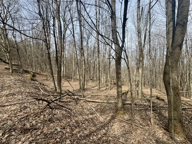 653 Frank Briggs Road Davenport, NY 13820 - Photo 46 of 47