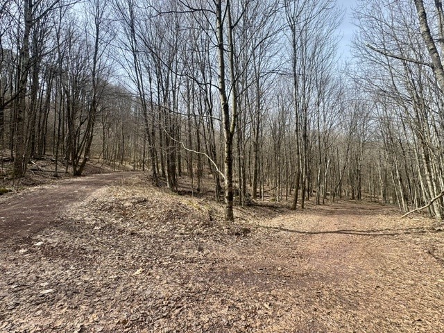 653 Frank Briggs Road Davenport, NY 13820 - Photo 5 of 47