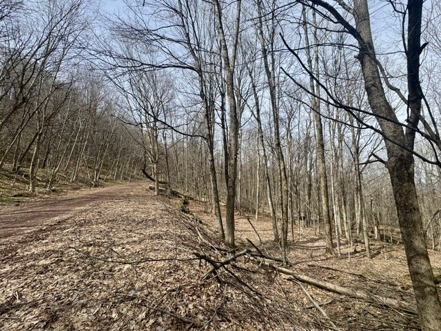 653 Frank Briggs Road Davenport, NY 13820 - Photo 6 of 47