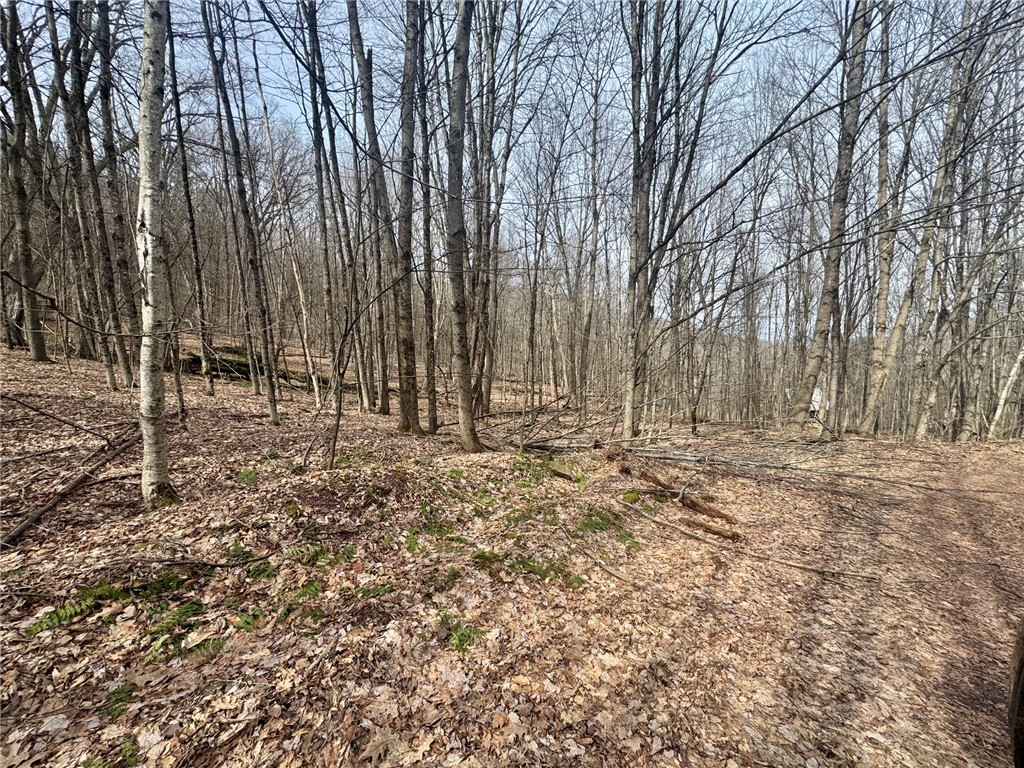 653 Frank Briggs Road Davenport, NY 13820 - Photo 7 of 47