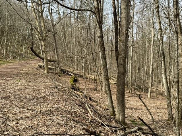 653 Frank Briggs Road Davenport, NY 13820 - Photo 8 of 47