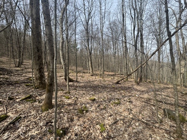 653 Frank Briggs Road Davenport, NY 13820 - Photo 9 of 47