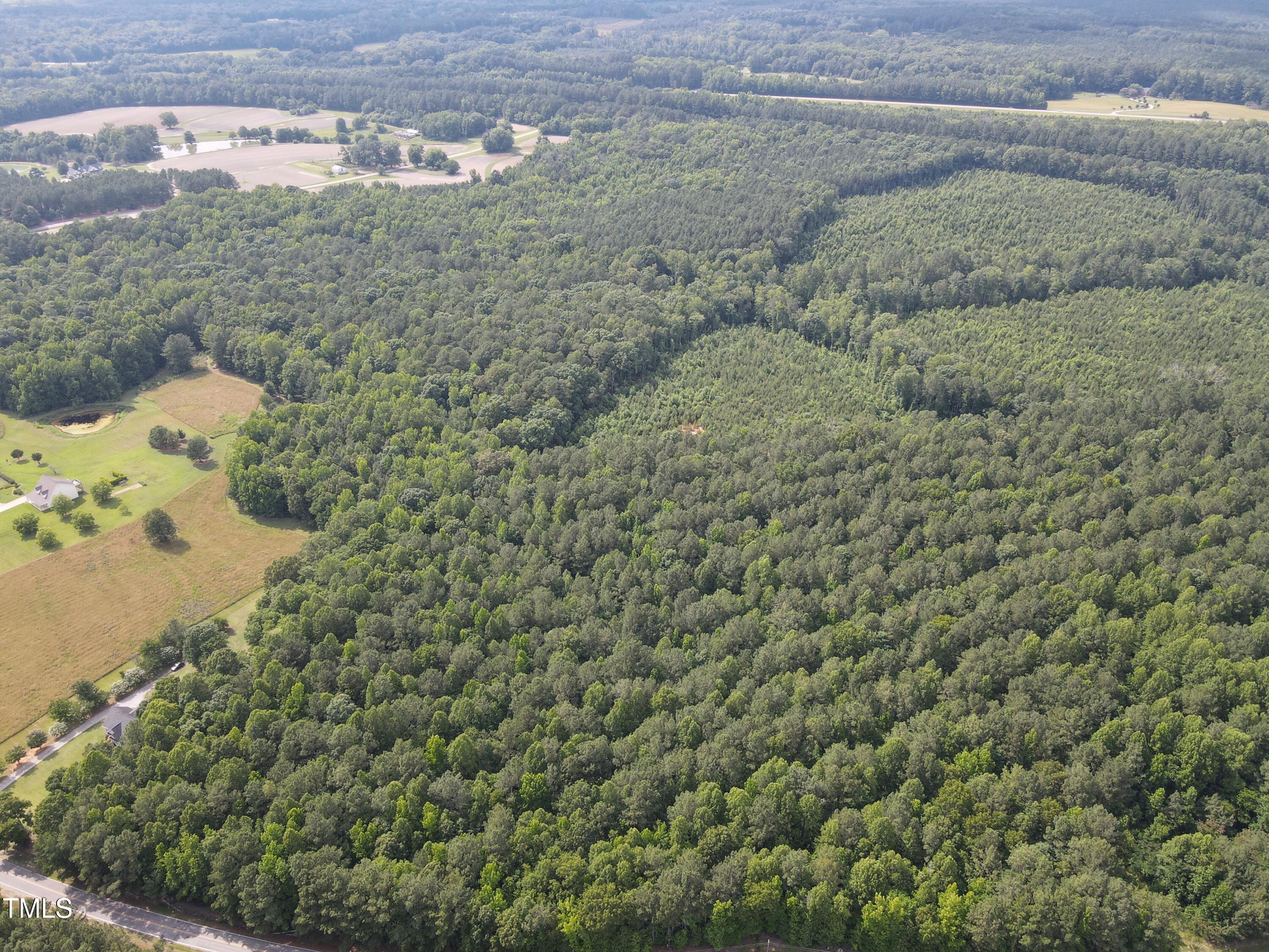 5-10 South Big Woods Road Spring Hope, NC 27882 - Photo 3 of 9 a view of a dry yard with wooden fence and trees
