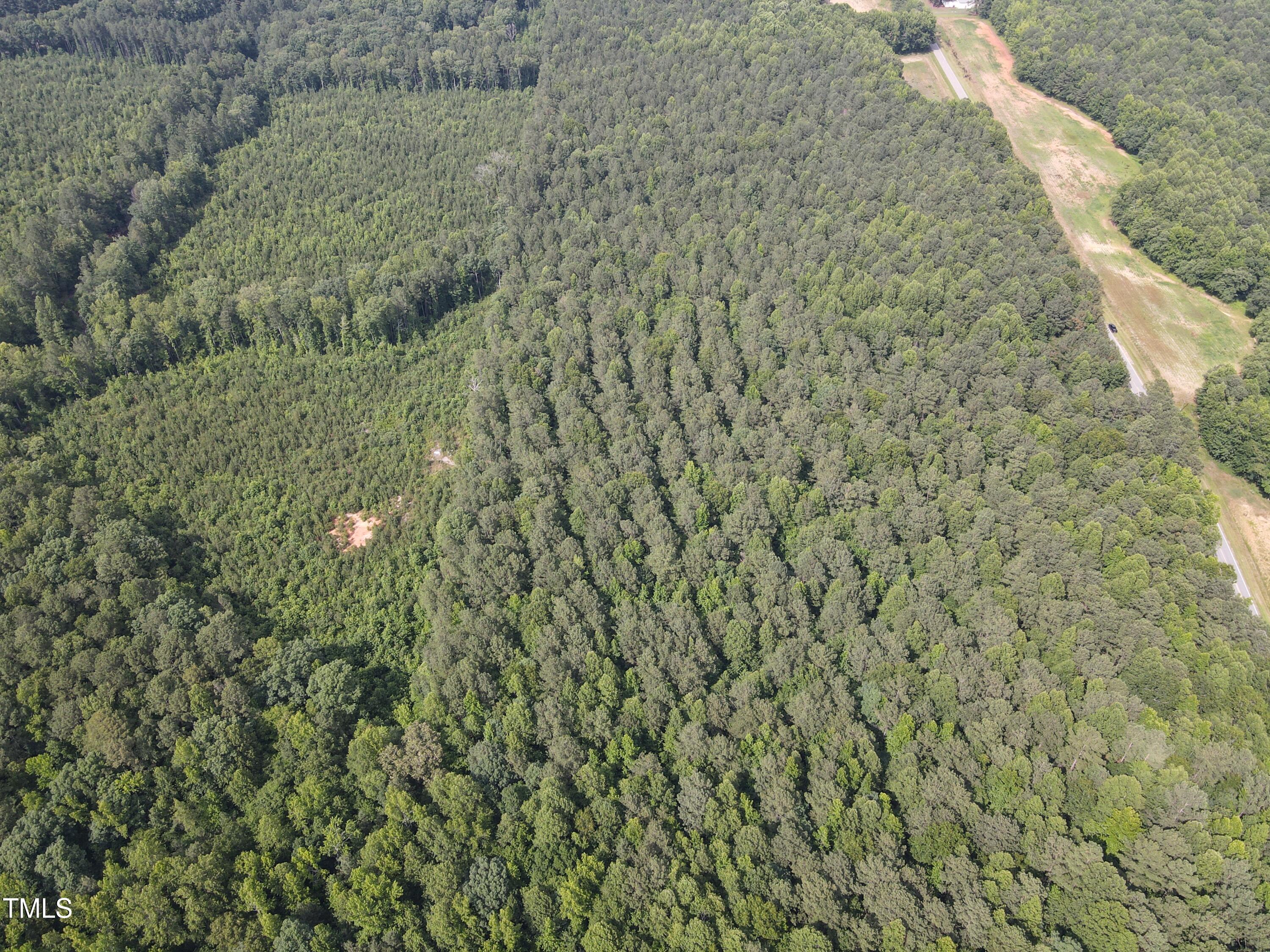 5-10 South Big Woods Road Spring Hope, NC 27882 - Photo 7 of 9 a close up of a plant