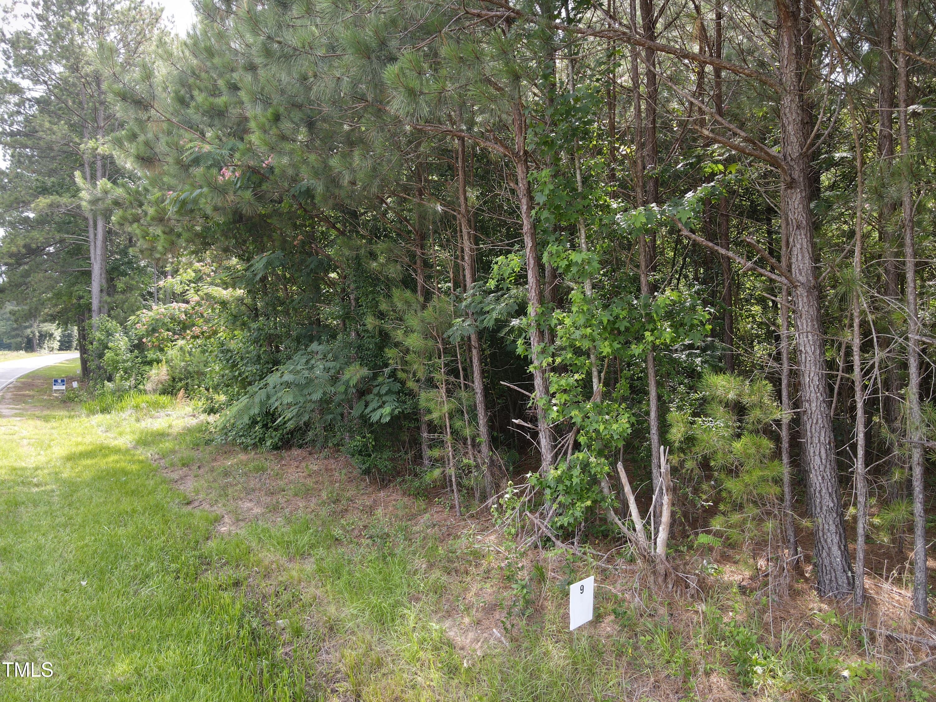 5-10 South Big Woods Road Spring Hope, NC 27882 - Photo 8 of 9 a view of forest