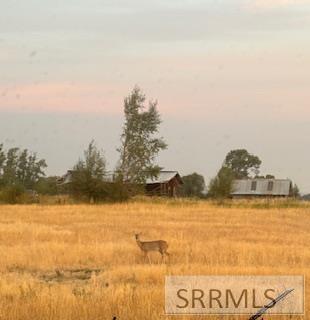 3017 East 750 Street Chester, ID 83421 - Photo 48 of 49