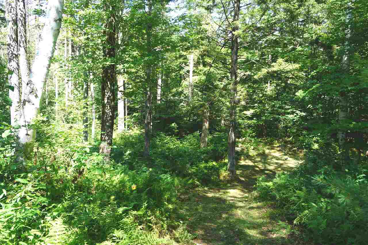 140 Powerhouse Road Chittenden, VT 05737 - Photo 12 of 21