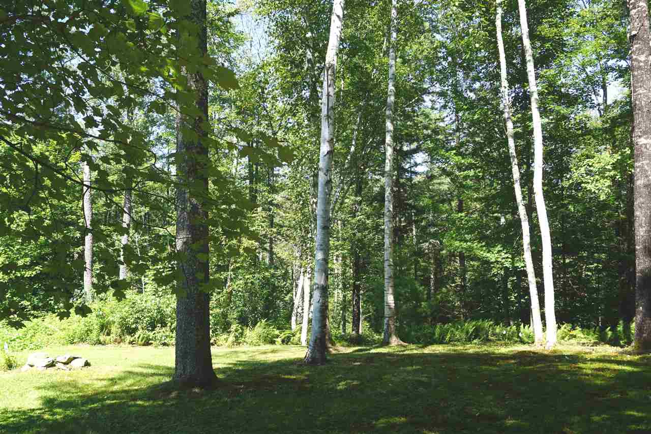 140 Powerhouse Road Chittenden, VT 05737 - Photo 20 of 21