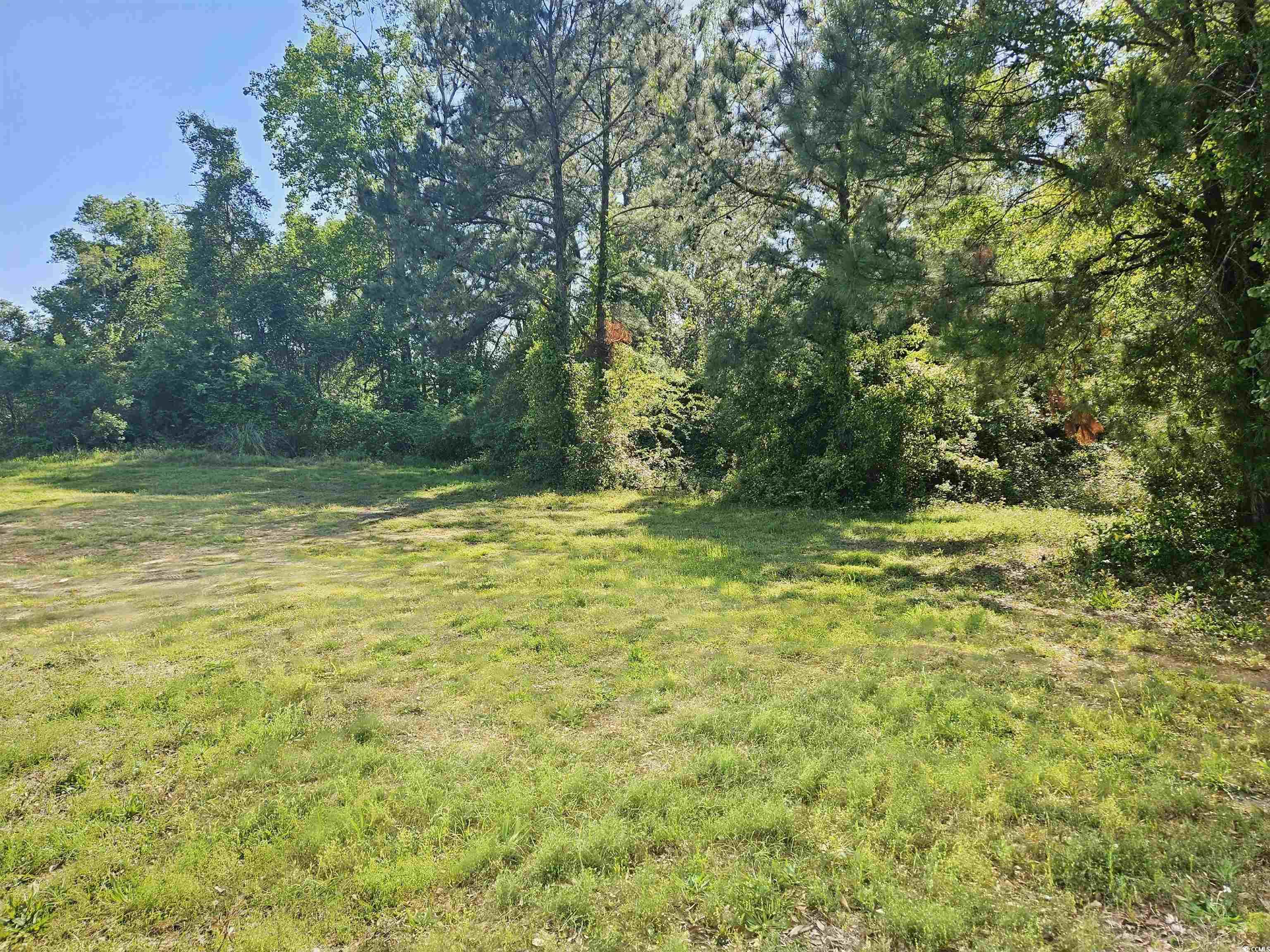 499-533 County Rd S-22-559 Murrells Inlet, SC 29576 - Photo 14 of 23