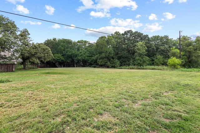 a view of a yard with a tree