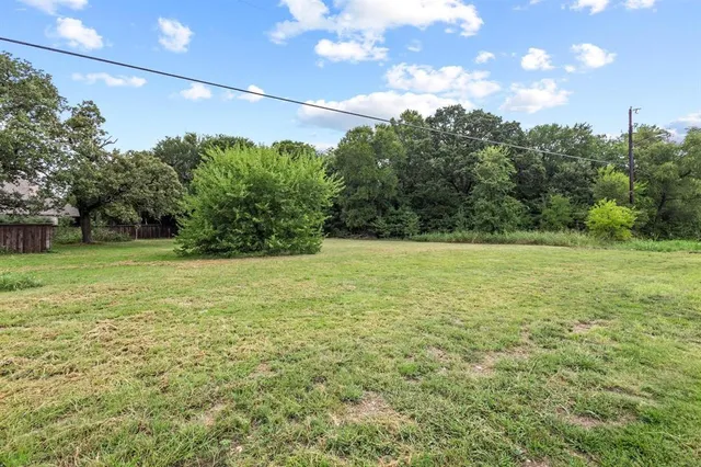 a view of a yard with a tree