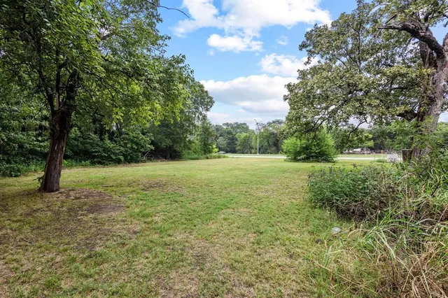 a view of a garden with trees