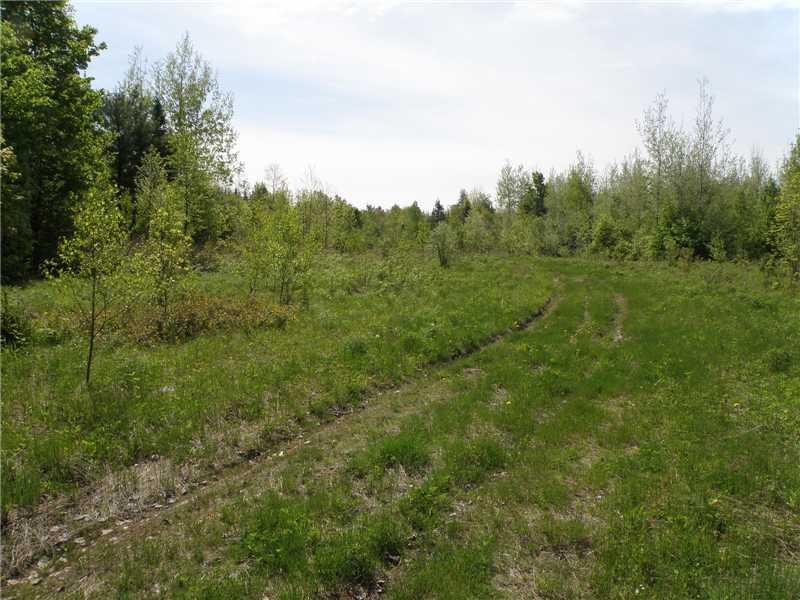 0 Myra Road Greenbush, ME 04418 - Photo 3 of 10 Land/Lot.