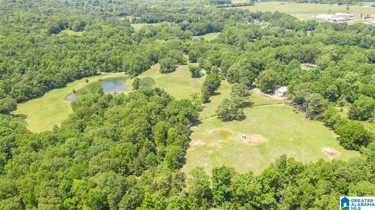 5744 Spring Creek Road Montevallo, AL 35115 - Photo 6 of 44