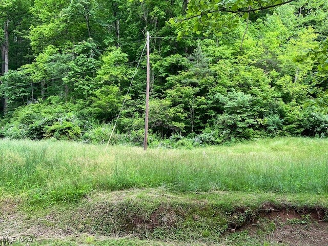 Munday Road Elizabeth, WV 26143 - Photo 3 of 7