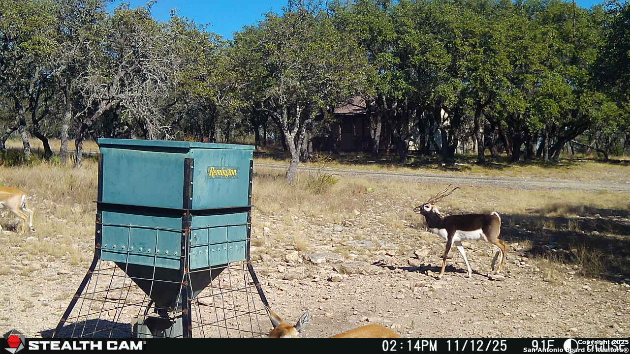1305 Camino Real Road Junction, TX 76849 - Photo 30 of 34