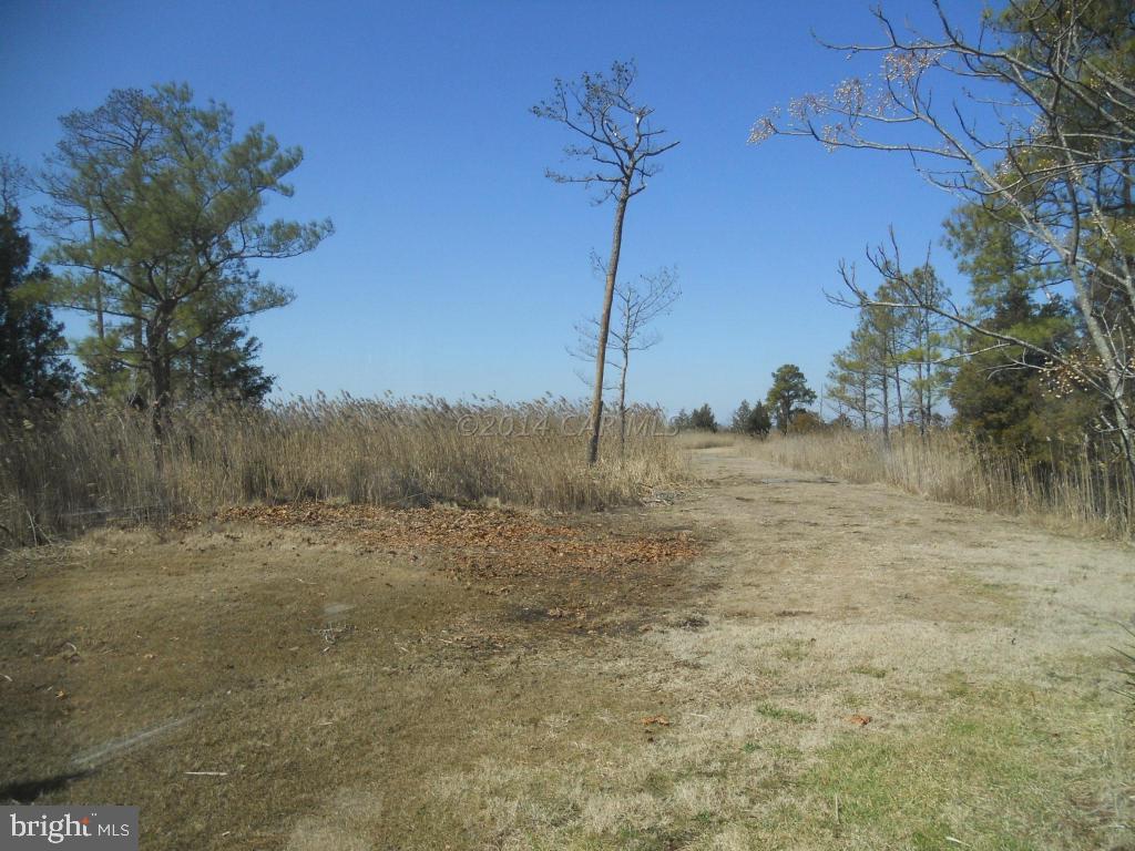 8940 Hood Road Westover, MD 21871 - Photo 12 of 22 Gallery Image 12