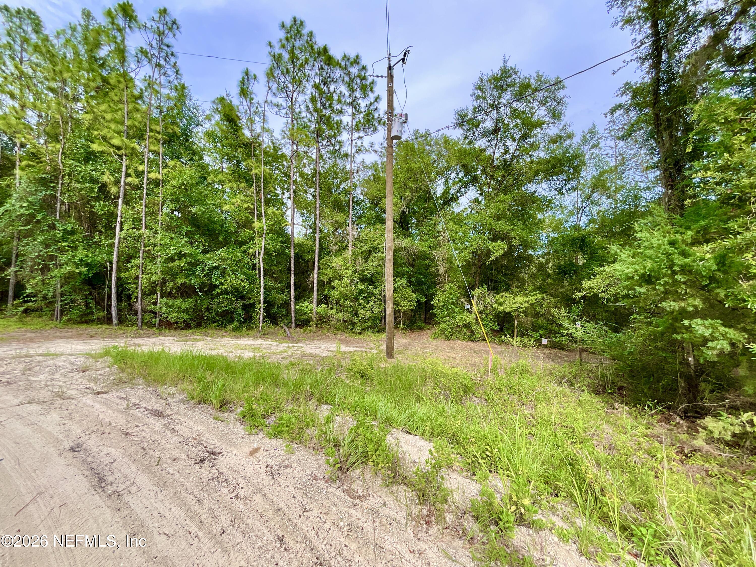 0 Silver Dollar Pond Road Hawthorne, FL 32640 - Photo 12 of 40 IMG_9065