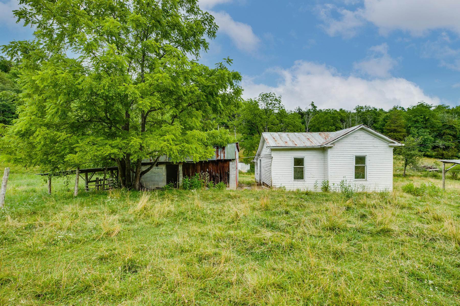 2215 Mill Creek Road Duffield, VA 24244 - Photo 20 of 26 026