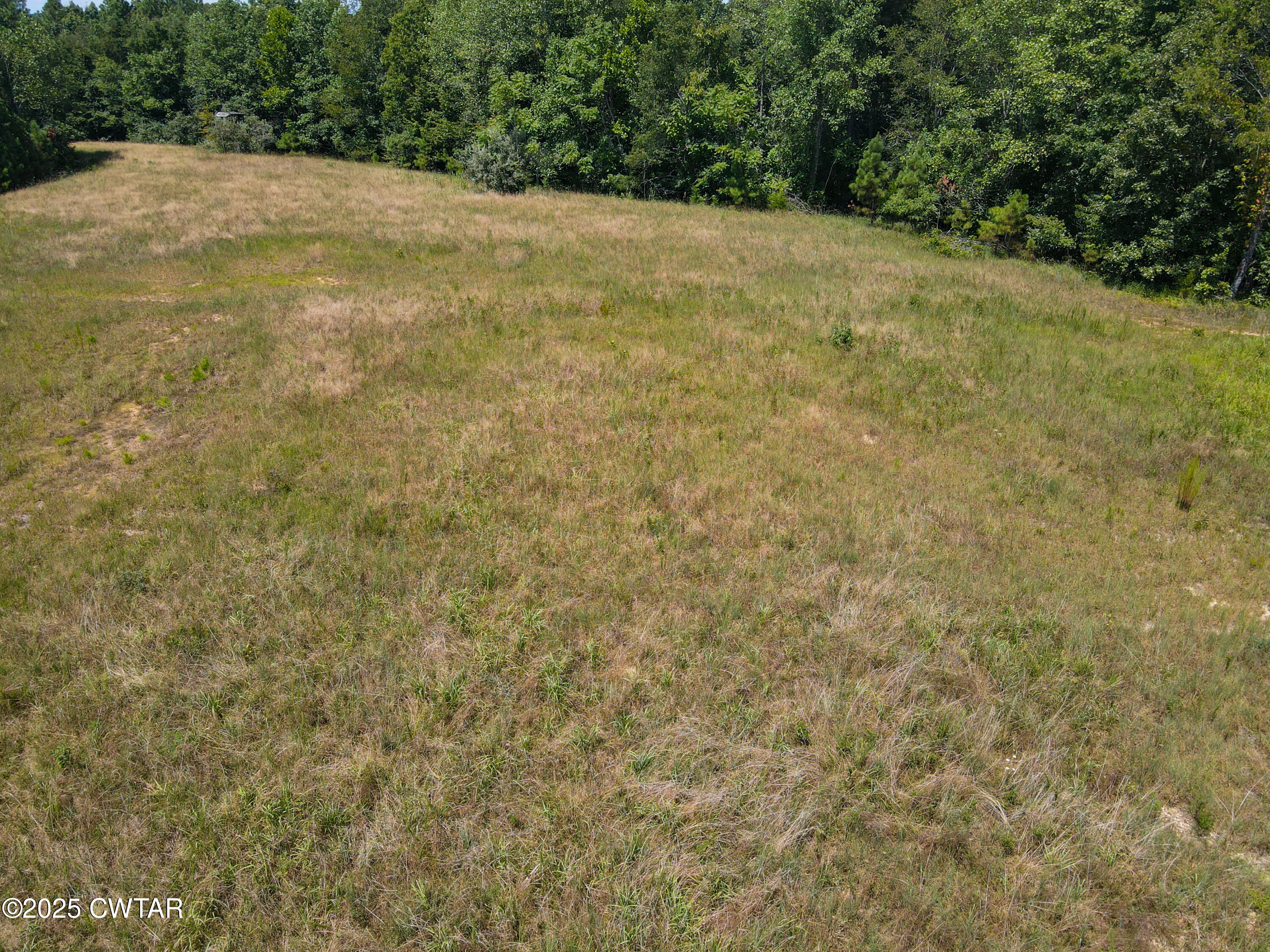 2 Ray Miller Road Sugar Tree, TN 38380 - Photo 12 of 18 a view of a yard with a trees
