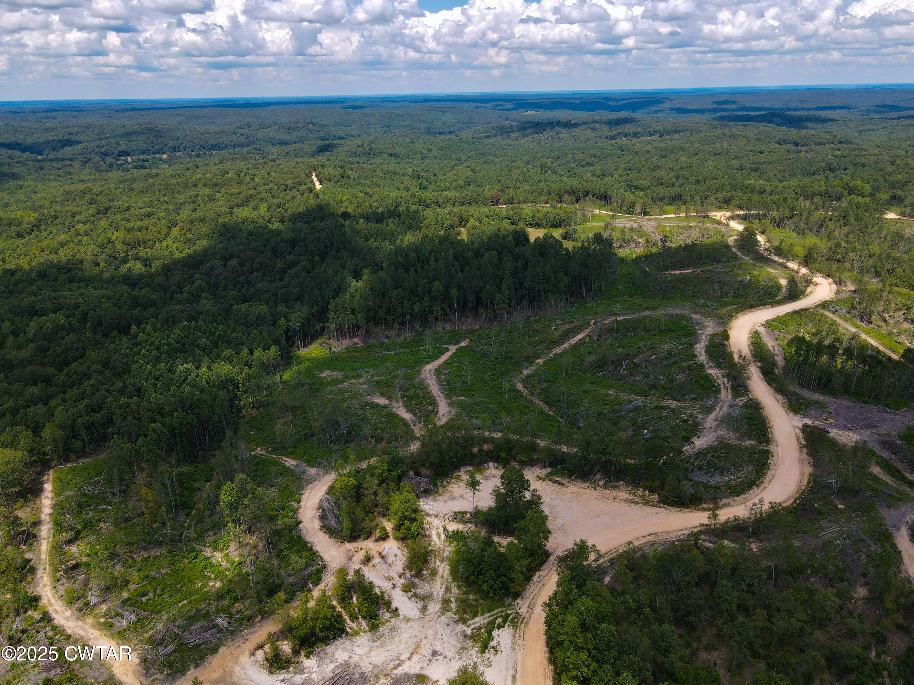 2 Ray Miller Road Sugar Tree, TN 38380 - Photo 14 of 18 a view of lake with green space