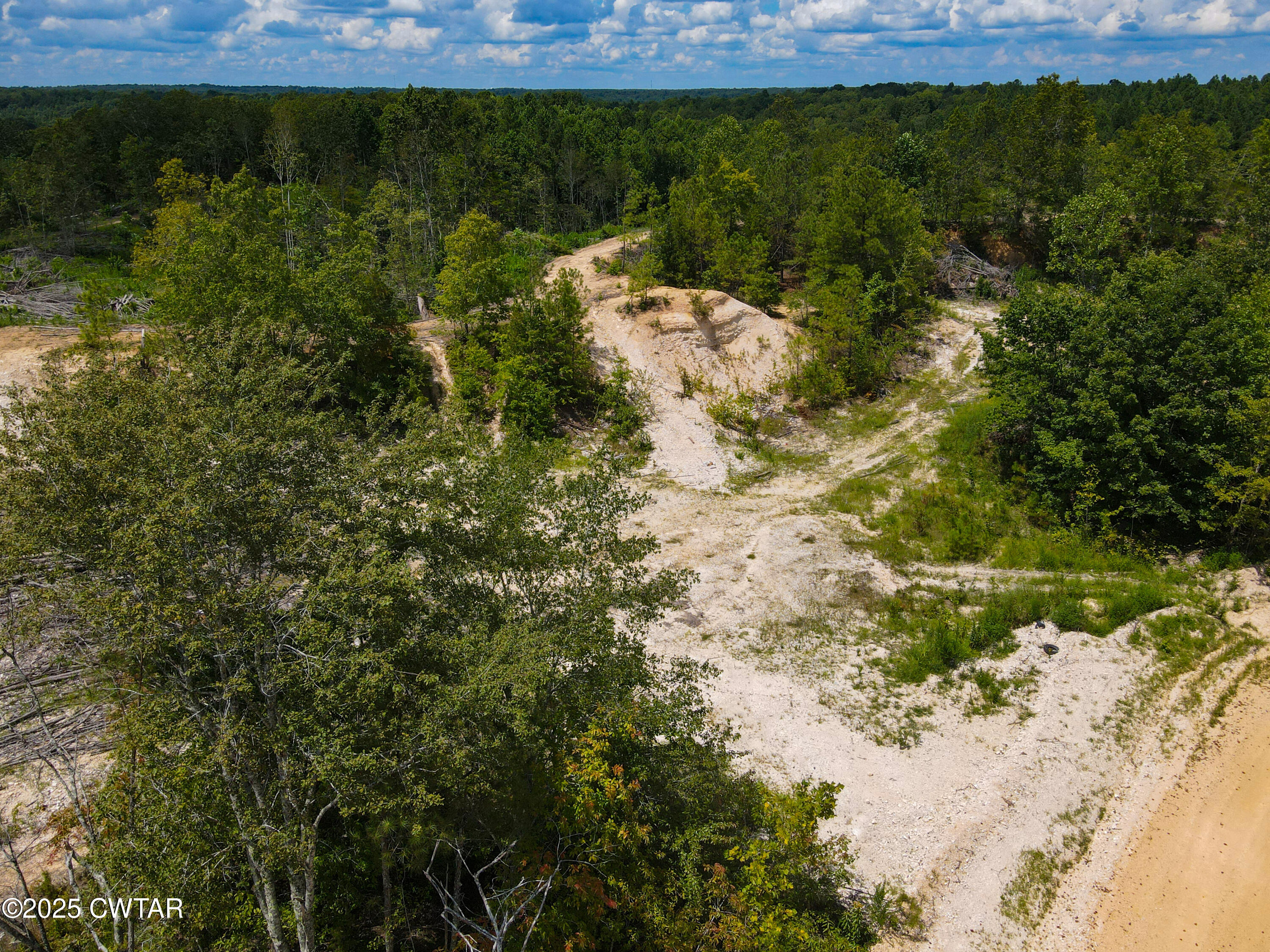 2 Ray Miller Road Sugar Tree, TN 38380 - Photo 17 of 18 a view of a lake with a forest