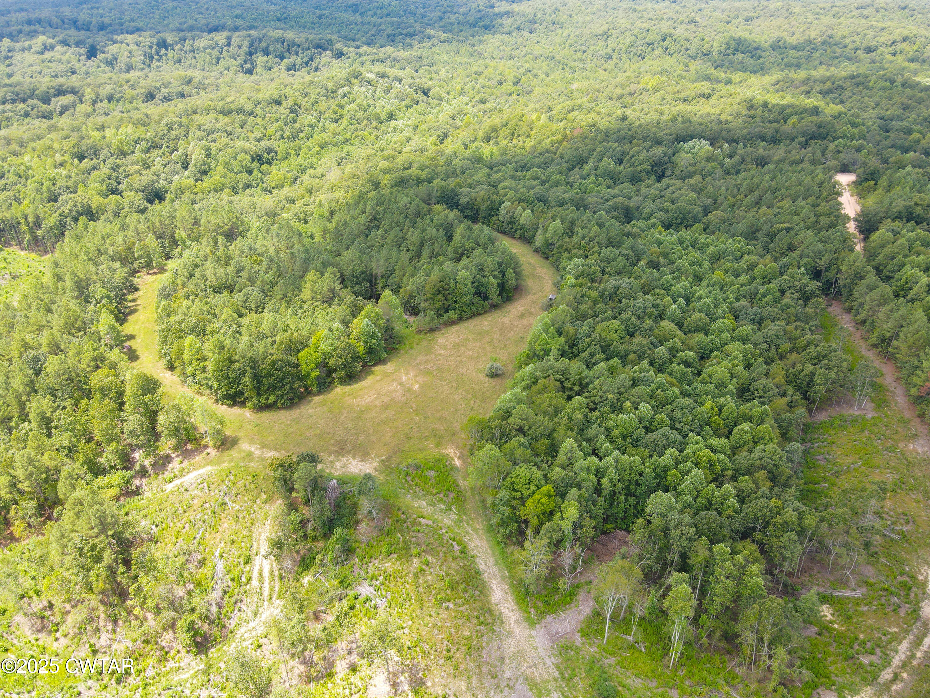 2 Ray Miller Road Sugar Tree, TN 38380 - Photo 5 of 18