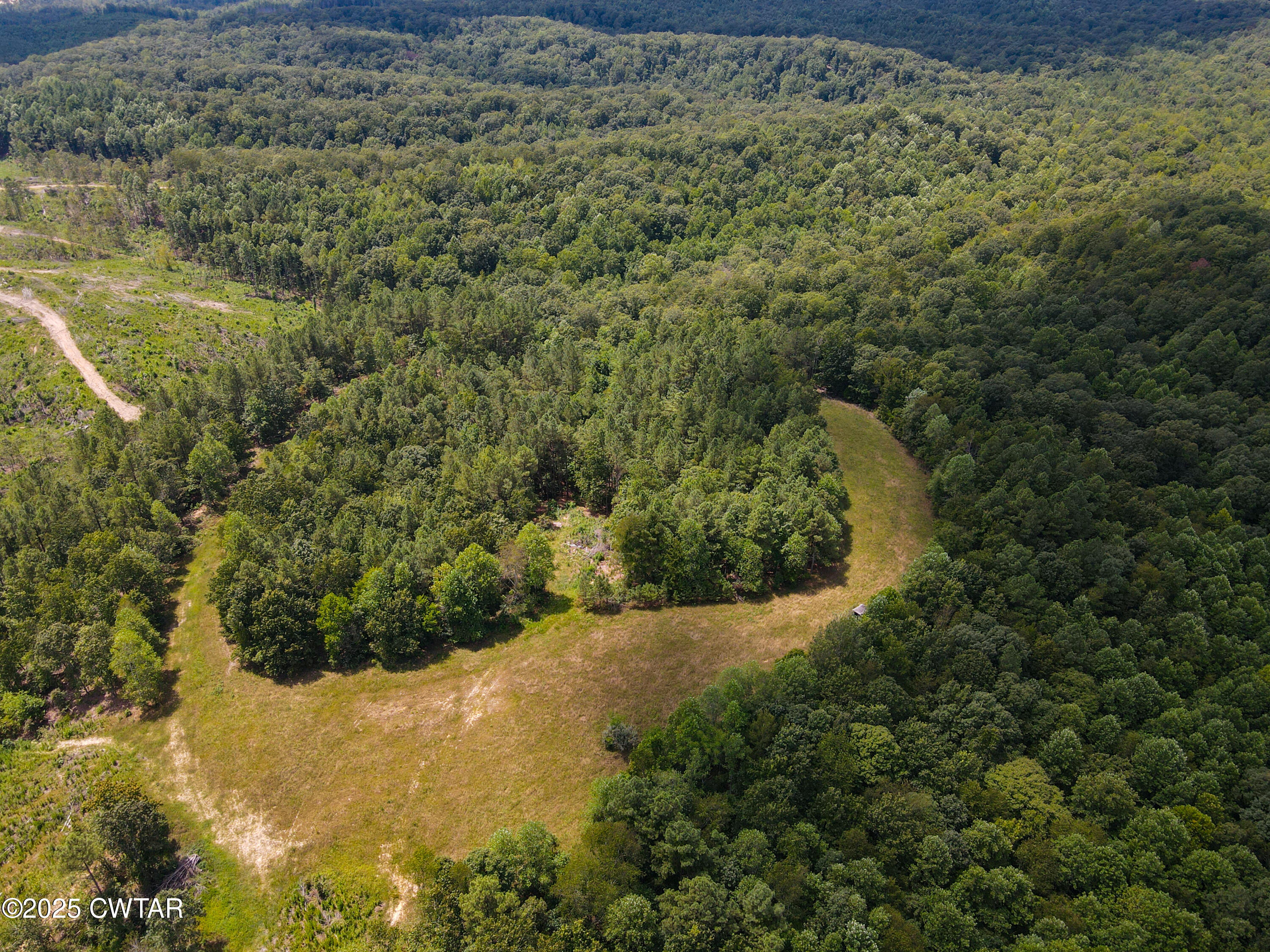 2 Ray Miller Road Sugar Tree, TN 38380 - Photo 6 of 18 a view of a yard with a small yard and large tree