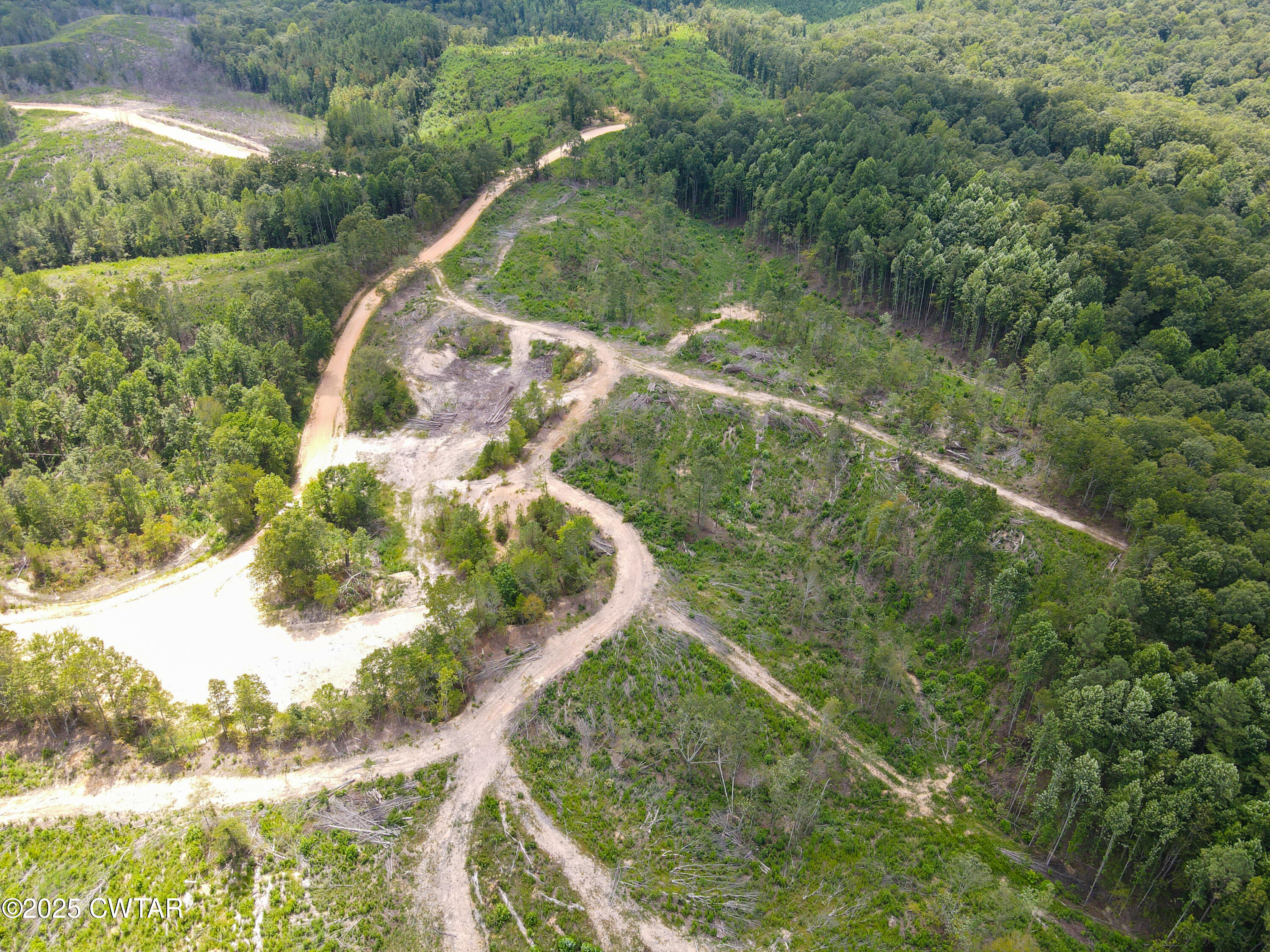 2 Ray Miller Road Sugar Tree, TN 38380 - Photo 7 of 18 a view of a yard with an outdoor space