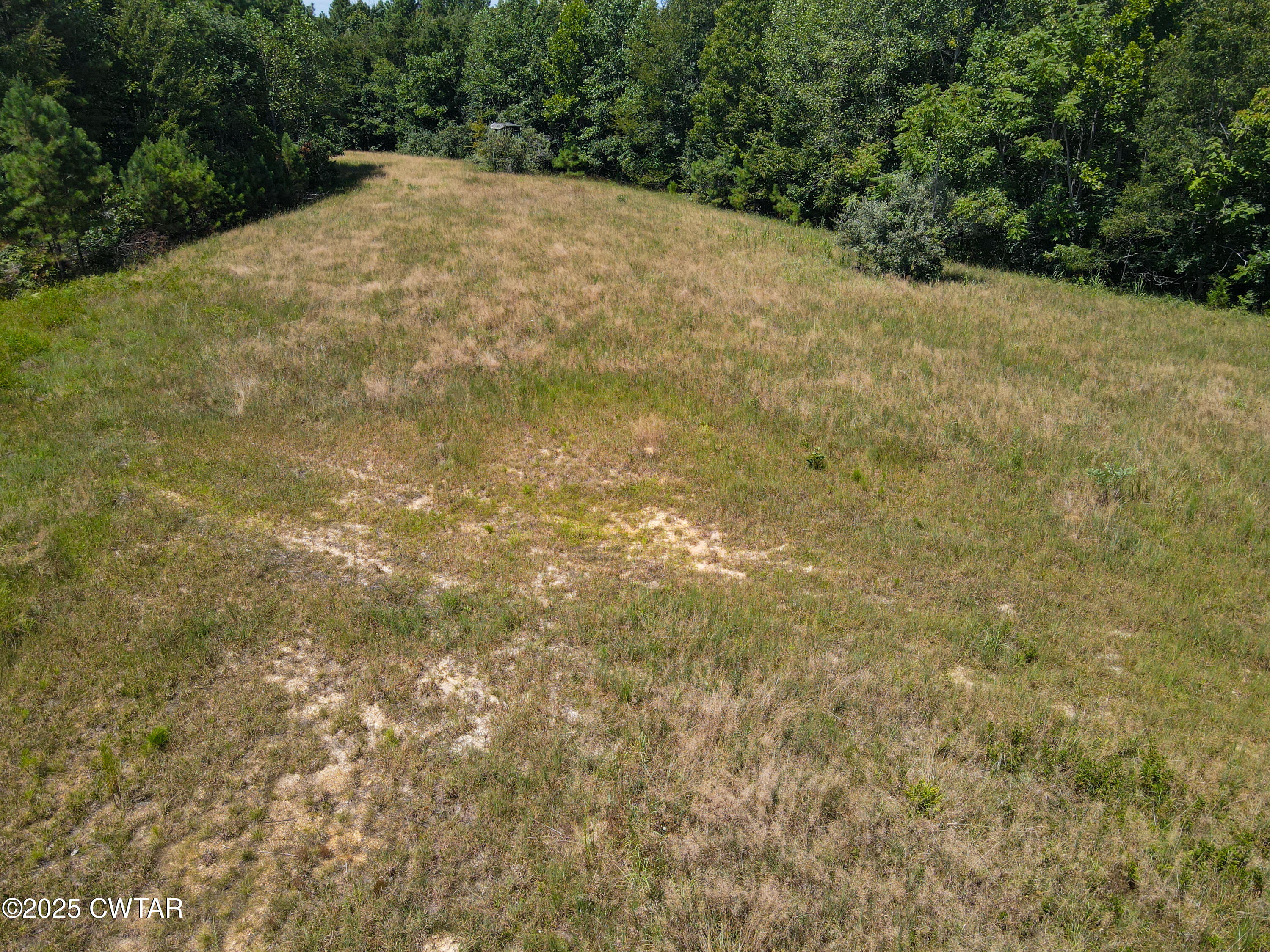 2 Ray Miller Road Sugar Tree, TN 38380 - Photo 8 of 18 a view of a yard with a trees