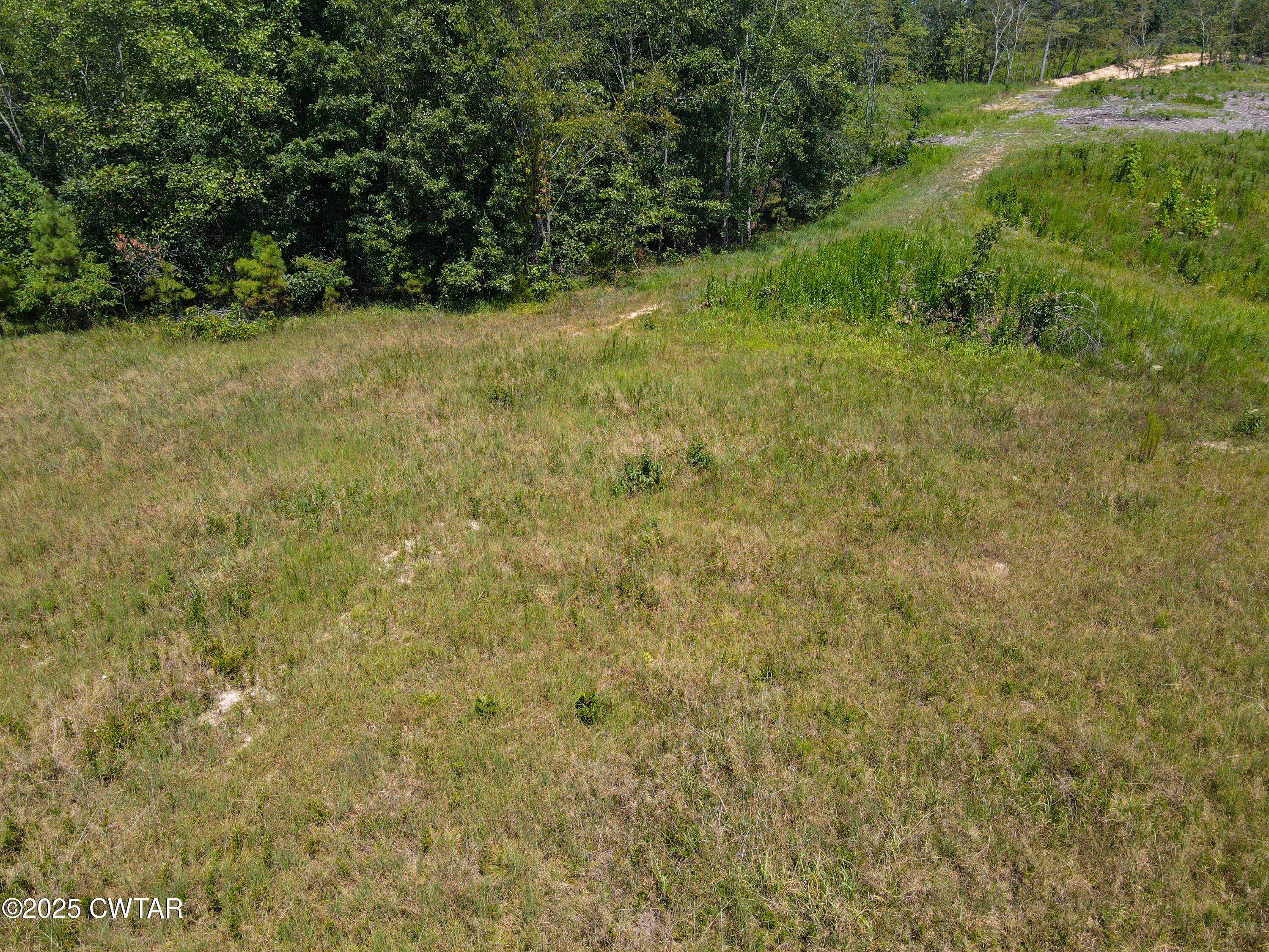 2 Ray Miller Road Sugar Tree, TN 38380 - Photo 9 of 18 a view of a yard with a tree