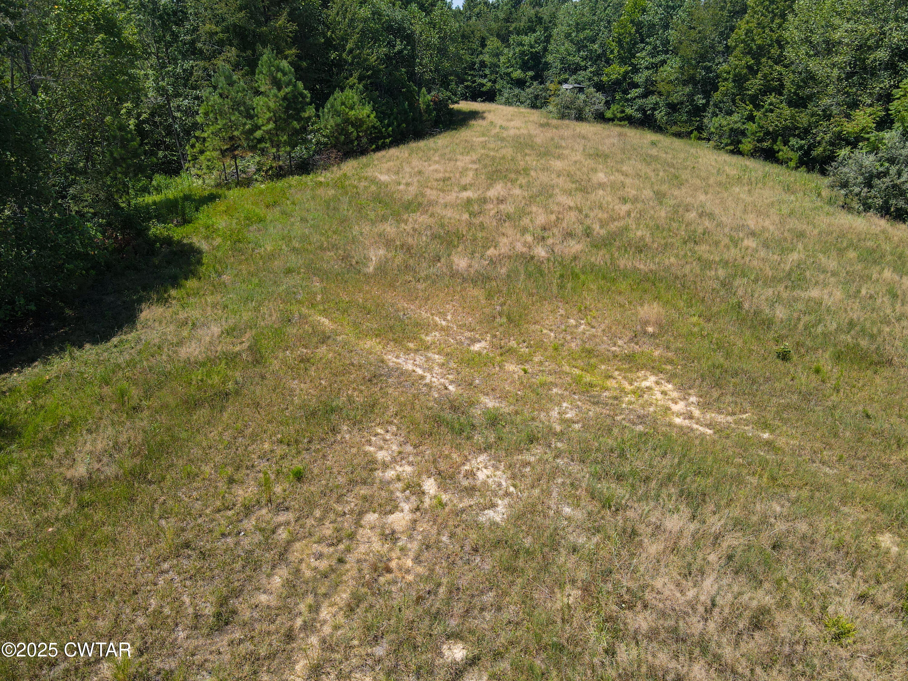 2 Ray Miller Road Sugar Tree, TN 38380 - Photo 10 of 18 a view of a yard