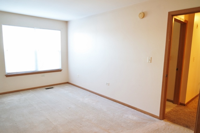 2419 Sheehan Drive, Unit 101 Naperville, IL 60564 - Photo 11 of 18