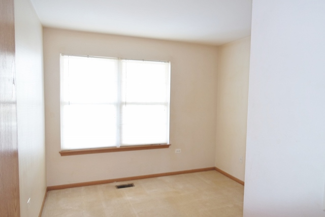 2419 Sheehan Drive, Unit 101 Naperville, IL 60564 - Photo 12 of 18