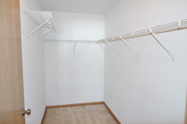 2419 Sheehan Drive, Unit 101 Naperville, IL 60564 - Photo 14 of 18